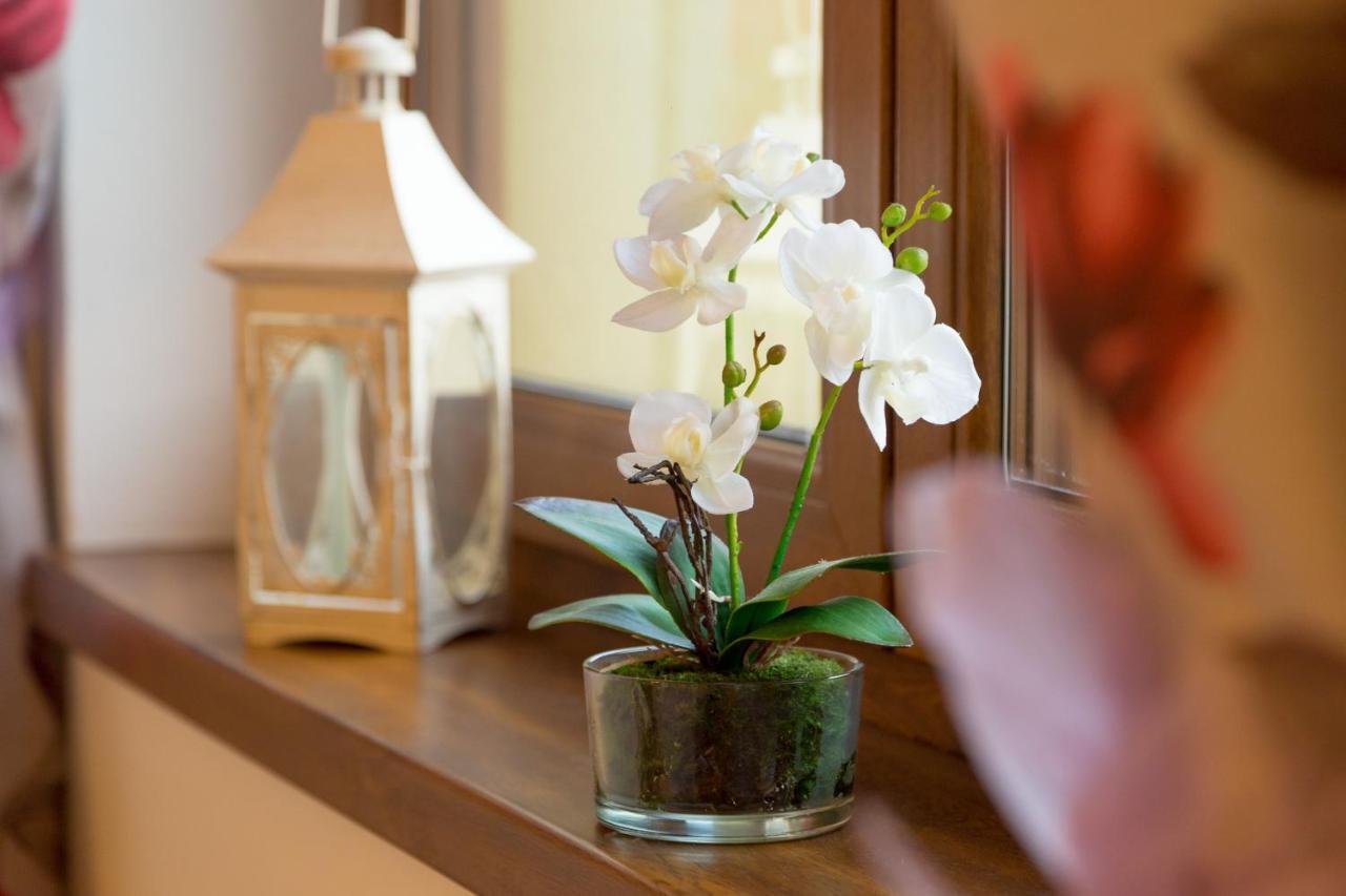 Apartmany Kenka สปิชสกา สตารา เวส ภายนอก รูปภาพ